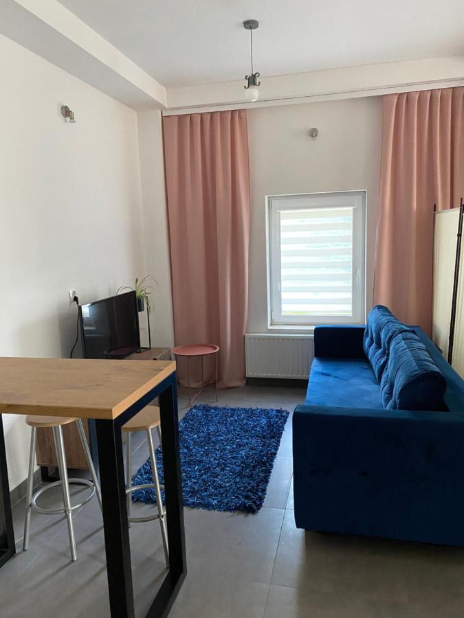 Apartamenty Pod Wierzbami Dwikozy Exterior foto