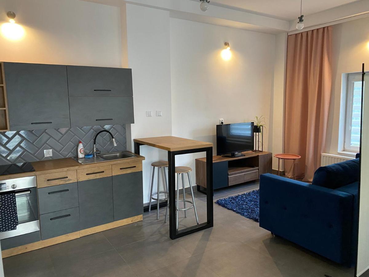 Apartamenty Pod Wierzbami Dwikozy Exterior foto
